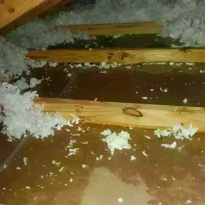 Attic Water Damage in Bruceton, TN